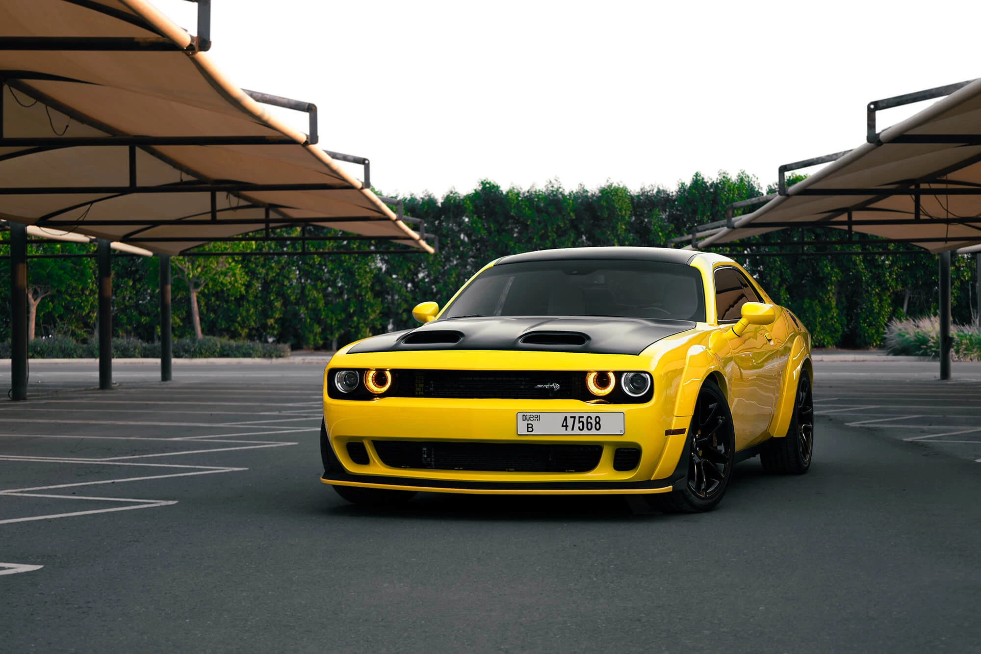 Dodge Challenger R/T Scat Pack Yellow 2021 rental dubai
